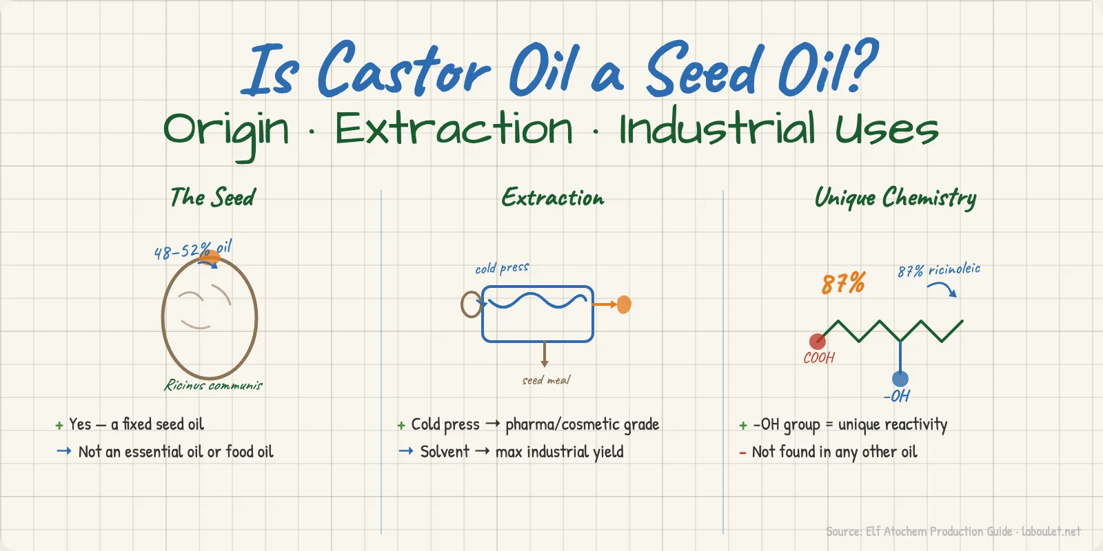 ¿Es el Aceite de Ricino un Aceite de Semilla? Origen, Extracción y Usos