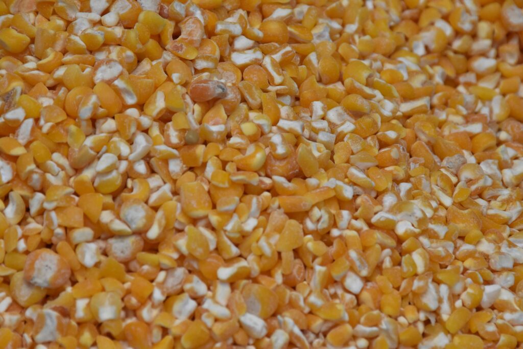 Detailed texture of yellow corn kernels, perfect for backgrounds.