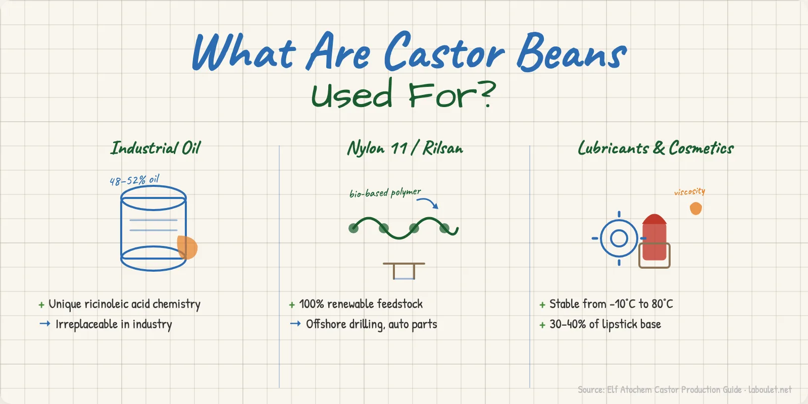 What Are Castor Beans Used For? Uses, Oil & Industry
