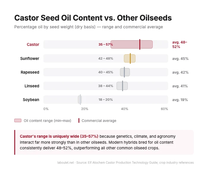 Bar chart comparing castor seed oil content percentage versus sunflower, rapeseed, linseed and soybean